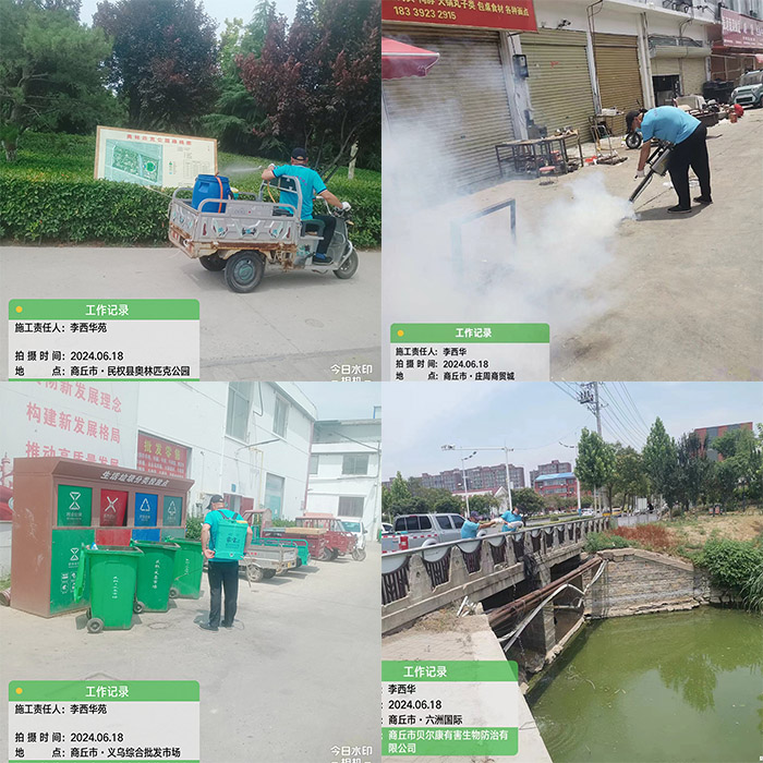 民權(quán)縣開展蚊、蠅集中消殺活動(dòng)