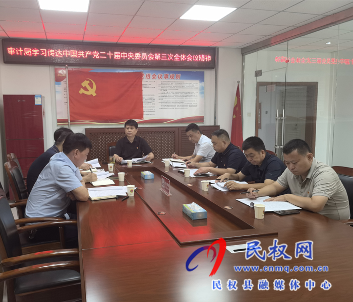 審計局學習傳達黨的二十屆三中全會精神