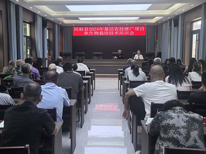 王橋鎮(zhèn)：加強秋作物田間管理，點亮“產(chǎn)業(yè)興旺星”