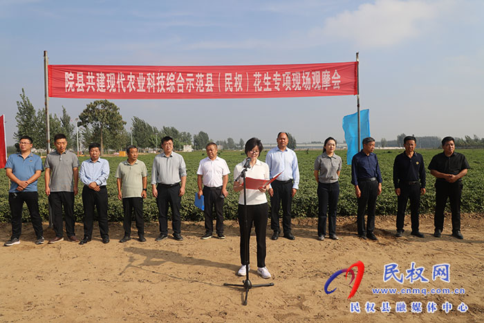院縣共建現(xiàn)代農(nóng)業(yè)科技綜合示范縣（民權(quán)）花生專項(xiàng)現(xiàn)場觀摩會舉行