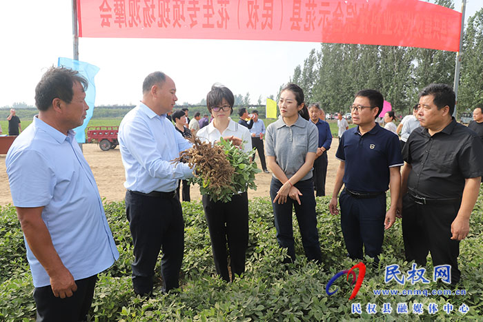 院縣共建現(xiàn)代農(nóng)業(yè)科技綜合示范縣（民權(quán)）花生專項(xiàng)現(xiàn)場觀摩會舉行