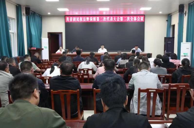 中國共產主義青年團野崗鎮(zhèn)第二次代表大會勝利召開