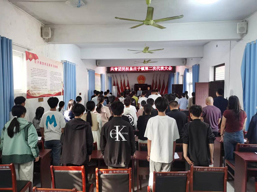 共青團(tuán)莊子鎮(zhèn)第二次代表大會勝利召開