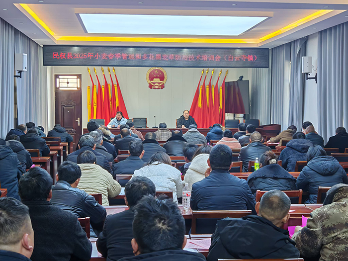 白云寺鎮(zhèn)：農技專家田間“把脈” 護航春季小麥穩(wěn)產增收
